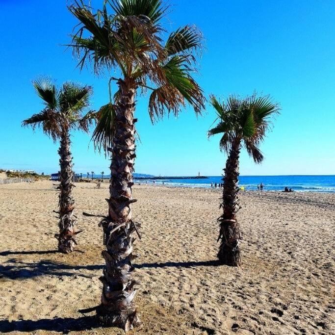 Cap Sud: Terrasse; Clim; Centre Port Du Cap D'agde Apartamento *